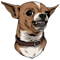 Mean Chihuahua Sticker