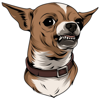 Mean Chihuahua Sticker