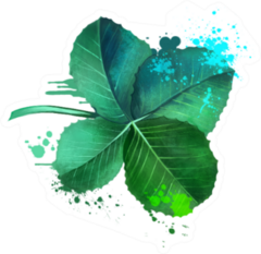 Medicago Alfalfa Or Cavalry Clover Art Sticker