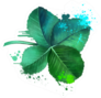 Medicago Alfalfa Or Cavalry Clover Art Sticker