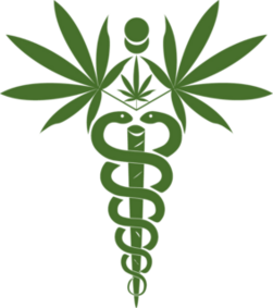 Medical Marijuana Icon Sticker