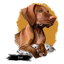 Medium Vizsla Watercolor Sticker