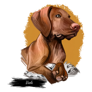Medium Vizsla Watercolor Sticker