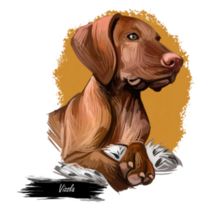 Medium Vizsla Watercolor Sticker