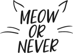 Meow Or Never Cat Sticker