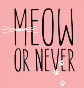 Meow Or Never Sticker