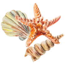 Mermaid Accessories Sticker 