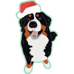 Merry Xmas Bernese Sticker 