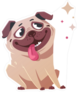 Mesmerized Cartoon Pug Sticker