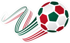 Mexican Soccer Ball With National Colors Sticker
