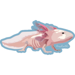 Mexican Walking Fish Sticker