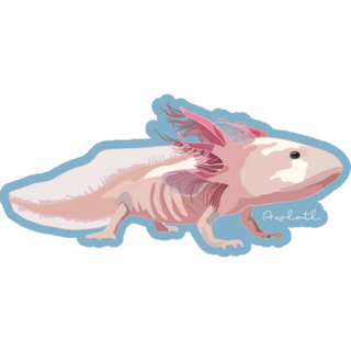 Mexican Walking Fish Sticker