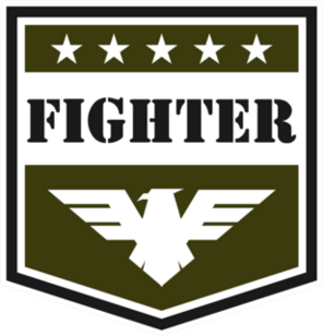 Military Fighter Badge Sticker