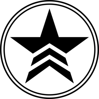 Military Star In A Circle Sticker