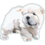 Mini Chow Chow Sticker