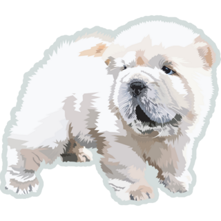 Mini Chow Chow Sticker