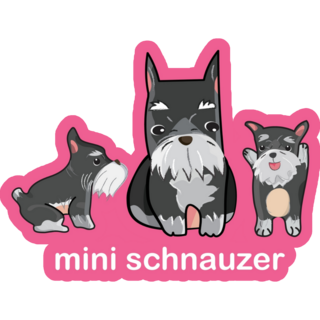 Mini Schnauzer Pink Sticker