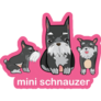 Mini Schnauzer Pink Sticker