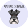 Miniature Schnauzer Circle Sticker