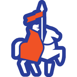 Minimalist Knight Sticker