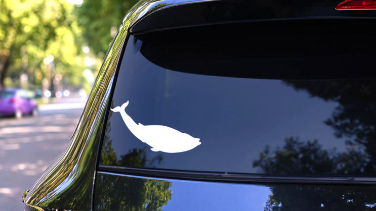 Minke Whale Sticker on a Rear Car Window (New) example