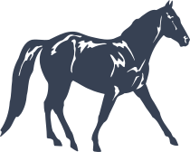 Missouri Fox Trotter Horse Sticker