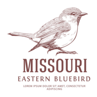 Missouri State Symbol. And Eastern Bluebird Sticker