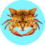 Mix Cat And Crabs On Bright Blue Sticker