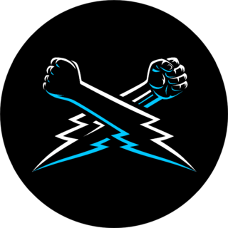 Mma Wrestling Clenched Male Fists And Hands Sticker