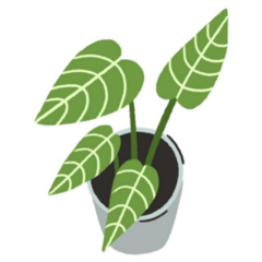 Modern Design of a Leafy Green Indoor Plant Sticker