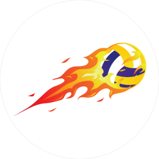 Modern Flaming Volleyball Sticker