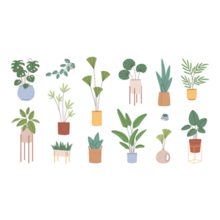 Modern Illustration of set of Potted House Plants Sticker