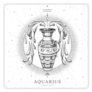 Modern Magic Witchcraft Card Aquarius Sticker 