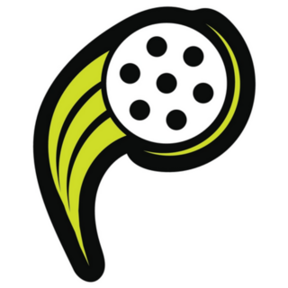 Modern Pickleball Sticker