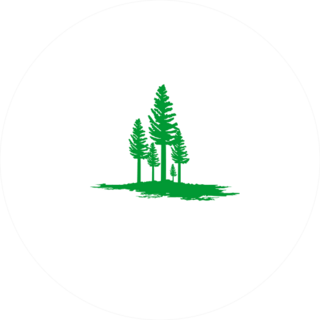 Modern Pine Trees Silhouette Sticker
