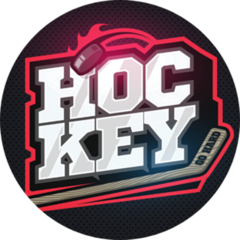 Modern Professional Hockey Lettering Sticker