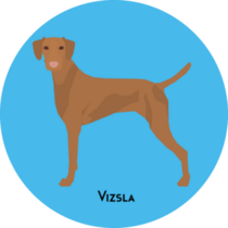 Modern Vizsla On A Blue Sticker