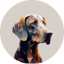 Modern Weimaraner Sticker