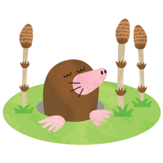 Mole In Horsetails Sticker 