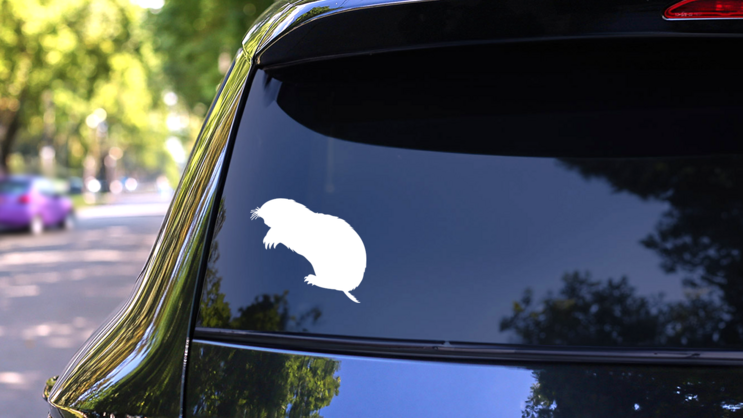 Mole Standing On Hind Legs Sticker on a Rear Car Window (New) example