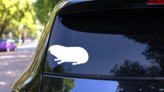 Mole Sticker on a Rear Car Window (New) example