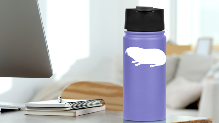 Mole Sticker on a Water Bottle (New) example