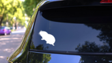 Mole Walking Sticker on a Rear Car Window (New) example