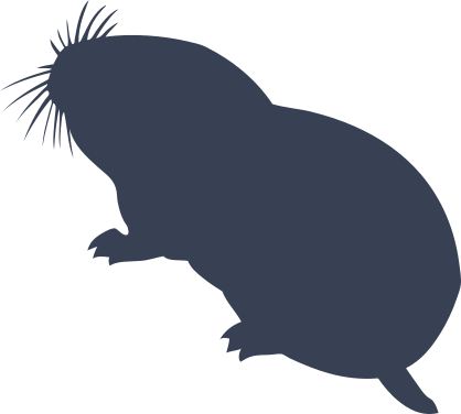 Mole Walking Sticker