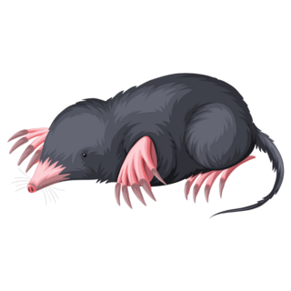 Mole With Black Fur Sticker