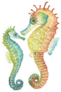 Mom And Baby Seahorses, Watercolor Sticker