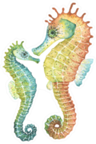 Mom And Baby Seahorses, Watercolor Sticker