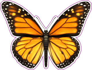 Monarch Butterfly With Open Wings Sticker