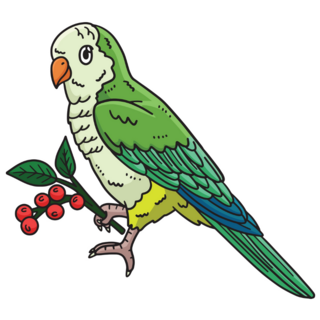 Monk Parakeet Sticker