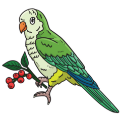Monk Parakeet Sticker